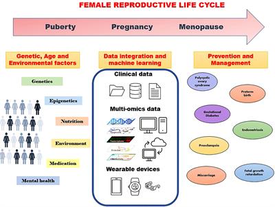 Multi-omics and machine learning for the prevention and management of female reproductive health